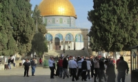 احباط صلوات تلمودية في الاقصى وسط اشتباكات واعتقالات