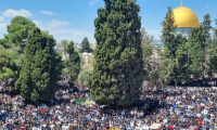 55 ألف مصلِّ أدوا صلاة الجمعة في المسجد الاقصى
