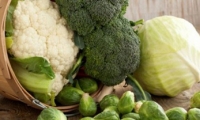 الملفوف يساعد على وقف تطور السرطان