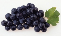 بحث: تناول العنب الاسود لتحمي نفسك من امراض القلب