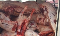 مداهمة عدة ملاحم  ومصادرة 1.5 طن من الللحوم